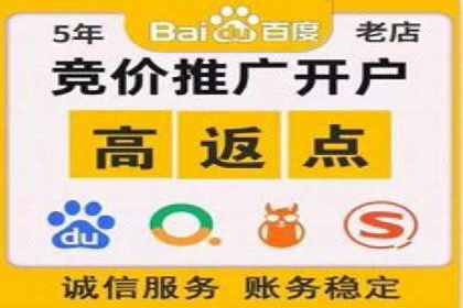 百度推广平台案例集锦：成功案例背后的故事